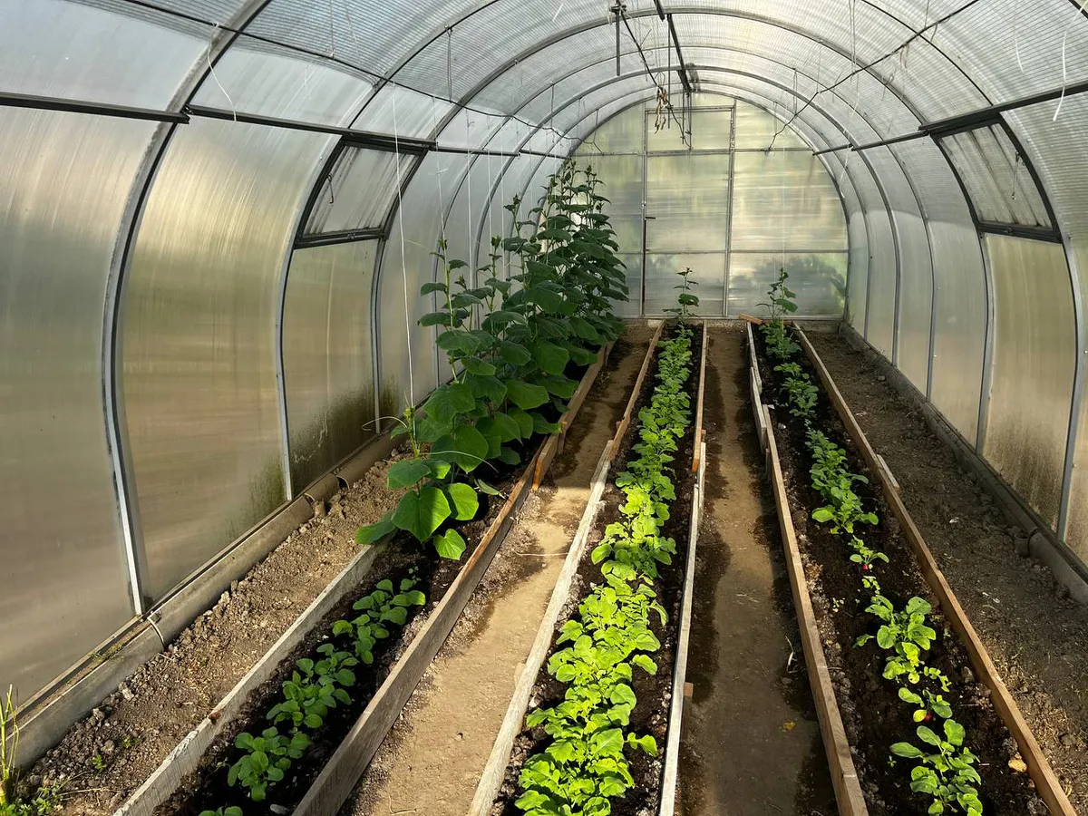 Пять золотых правил: как пенсионеру работать в огороде без вреда для здоровья