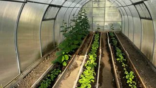 Пять золотых правил: как пенсионеру работать в огороде без вреда для здоровья