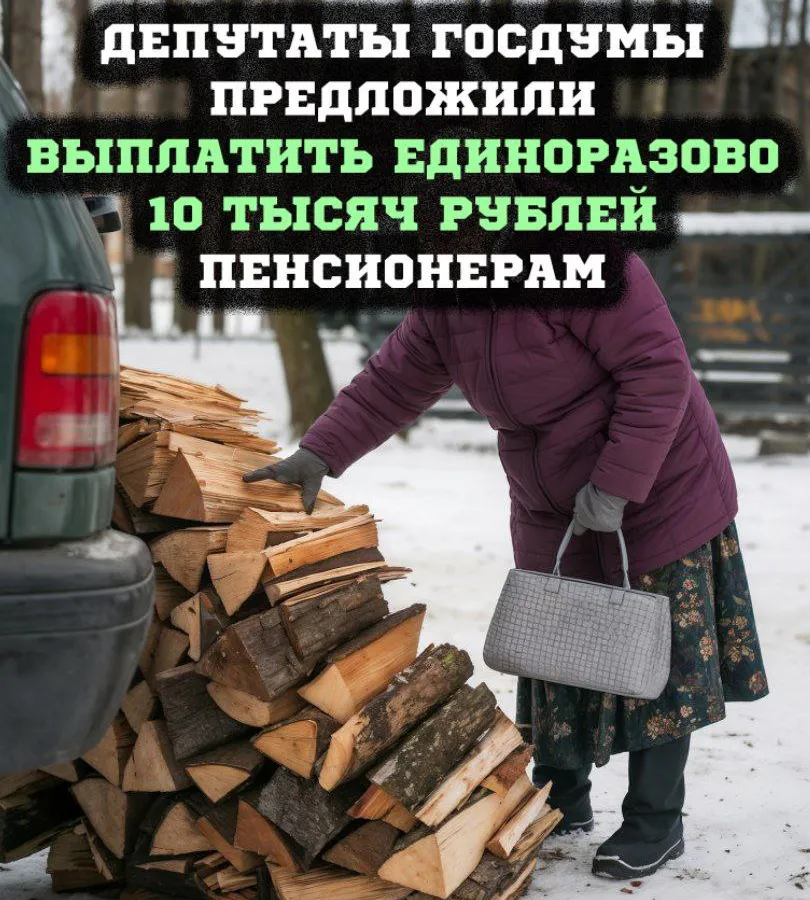 Депутаты предложили единовременную выплату пенсионерам на печное топливо