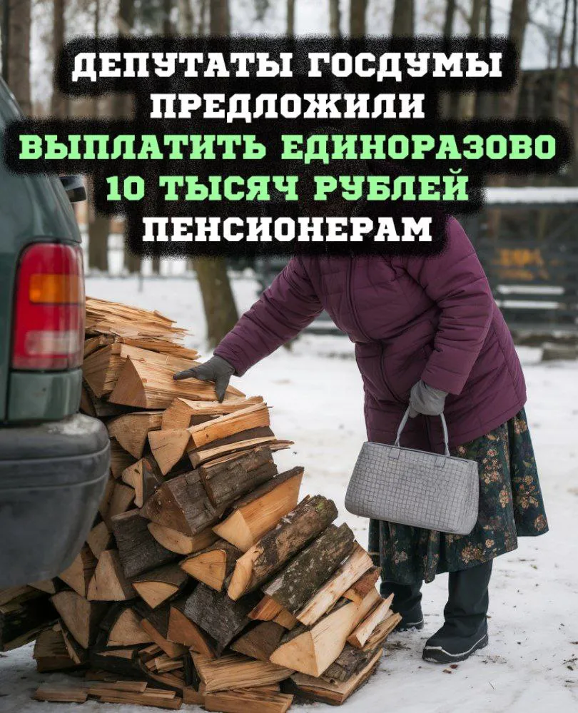 Депутаты предложили единовременную выплату пенсионерам на печное топливо