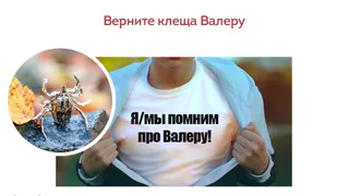 В Уфе украли памятник клещу Валере 