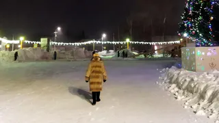 В Рязани синоптики прогнозируют на 23 января до -12 градусов 