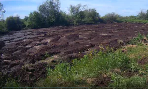 В Коми выявили незаконную добычу торфа на сельхозземлях