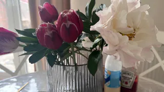 Срочно уберите этот цветок из дома: приносит несчастья и беды вопреки всем приметам