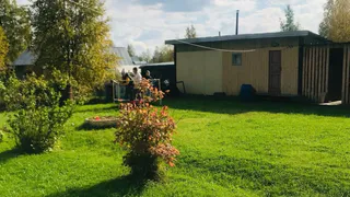 Три ложки на кучу — перегниют даже толстые ветки: быстрый компост без усилий — земля будет как пух