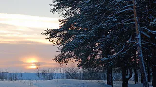 8 Марта погода приготовила сюрпризы в виде слабой метели и похолодания до -16° С