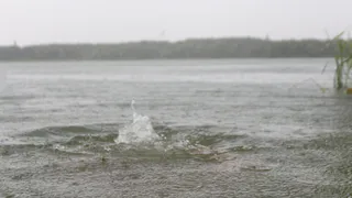 Под Рязанью в Оке утонула 38-летняя женщина