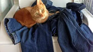 Спасаем стиральную машинку от плесени