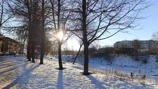 Полная отмена зимы: синоптики рассказали, что весна придет без стука - вот когда ждать