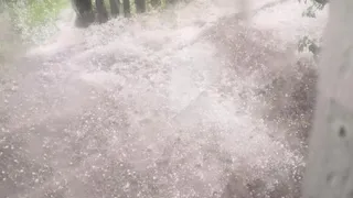 В Рязанской области град уничтожил посевы жителей