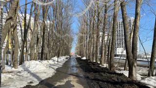 На них обрушатся купюры: Павел Глоба советует купить лотерейный билет 2 знакам зодиака 24 марта