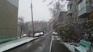 Обяжут всех без исключения: собственников авто или квартир ждет неприятный сюрприз с 10 декабря