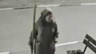 Под покровом ночи кольчугинская пенсионерка обокрала все клумбы