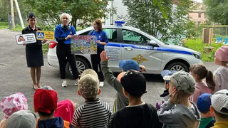 Магнитогорские полицейские оперативно отреагировали на опасную ситуацию с детьми на дороге