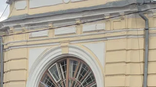 Фото факт: в Касимове на крыше здания МФЦ проросло дерево