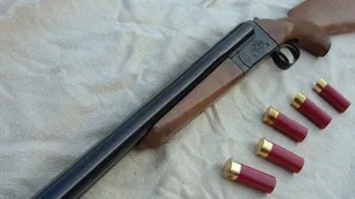 Завели дело: рязанец хотел купить ружье по поддельному документу