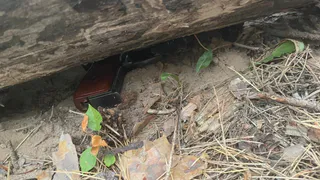 Нашли с огнестрельным ранением: подробности гибели бывшего начальника рязанского УВД