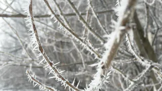 Аномально теплая погода в Чувашии уступит место снежному покрову только к концу недели