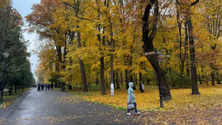 В 2026 году в Никольске будет реализован проект «Никольск – хрустальное сердце России! К вершине»