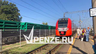 В надежде завладеть сотням вагонов, пензенец пошел на преступление