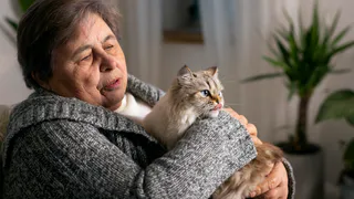 Людям за 60 лет стоит держаться подальше от кошек: ученые рассказали почему