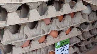 Жители Брянской области недовольны взрывным ростом цен на яйца