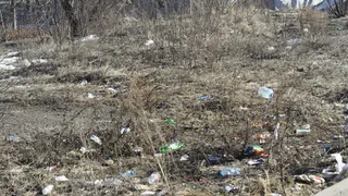 Рязанские призывники перед уходом в армию уберут мусор в Канищево