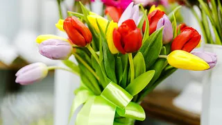 Нижнекамок приглашают на праздничный концерт