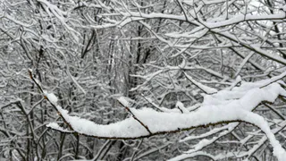 В Коми 11 декабря ожидаются снегопады и усиление ветра