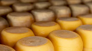 Россельхознадзор запретил вывоз 980 кг сыра из Челябинска в Казахстан: причины и последствия