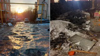 Рязанцы пожаловались Малкову на крыс и гололед в центре города