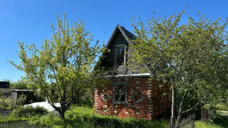 Самый вредный и опасный овощ после картофеля: летом мы едим его каждый день всей семьей. Угробите здоровье