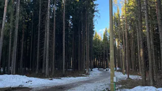 В Челябинской области потеплеет до +15 градусов: синоптики рассказали о погоде на 24 марта