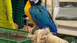 Во Владимирском зоопарке животных держали в ненадлежащих условиях