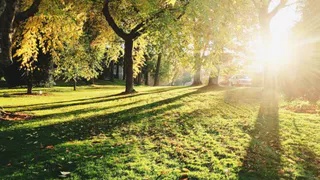 В ночь на 11 августа в Рязанской области ожидается +11 °С