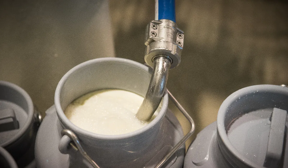 Умное использование молока: хитрый способ для любителей кофе