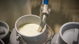 Умное использование молока: хитрый способ для любителей кофе