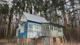 Переехала из мегаполиса в лесную глушь и ни капли не пожалела: Рассказываю, что нашла в деревенской жизни