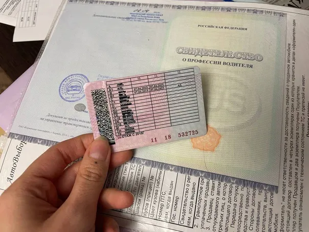 Сразу отберут права: всех водителей ждет новый неприятный сюрприз с 1 сентября