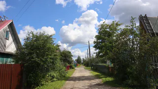 С помощью гвоздодёра и мотоблока три жительницы Коми обокрали дачу