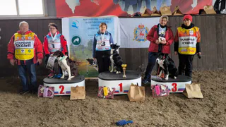 Команда из Владимира стала призером чемпионата ЦФО и ПФО по собаководству