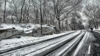 В Коми открыли новую автодорогу