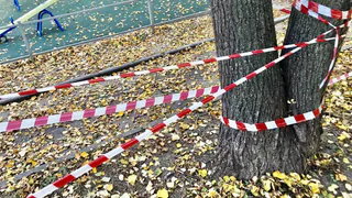 Что за люди: в рязанском сквере вандалы испортили покрытие на детской площадке