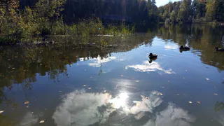 В Чувашии 21 октября потеплеет до +9 градусов