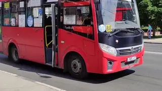 Водитель рязанской маршрутки почти зажал дверью пассажирку с 5-летним ребенком