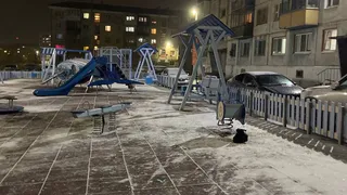 Погода меняет курс: октябрь готовит снежное одеяло для Коми