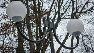 Мэр Рязани проверила благоустройство парка Гагарина