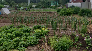 Лишатся земли: всем, у кого участок в собственности - новое жесткое правило с июля