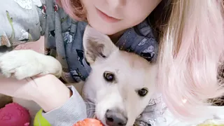 Дружелюбная малышка Кая нашла свой дом. А мы ей в этом помогли