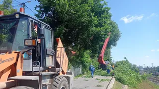 Во Владимире перекрыли улицу Урицкого из-за вырубки поросли и сухих веток